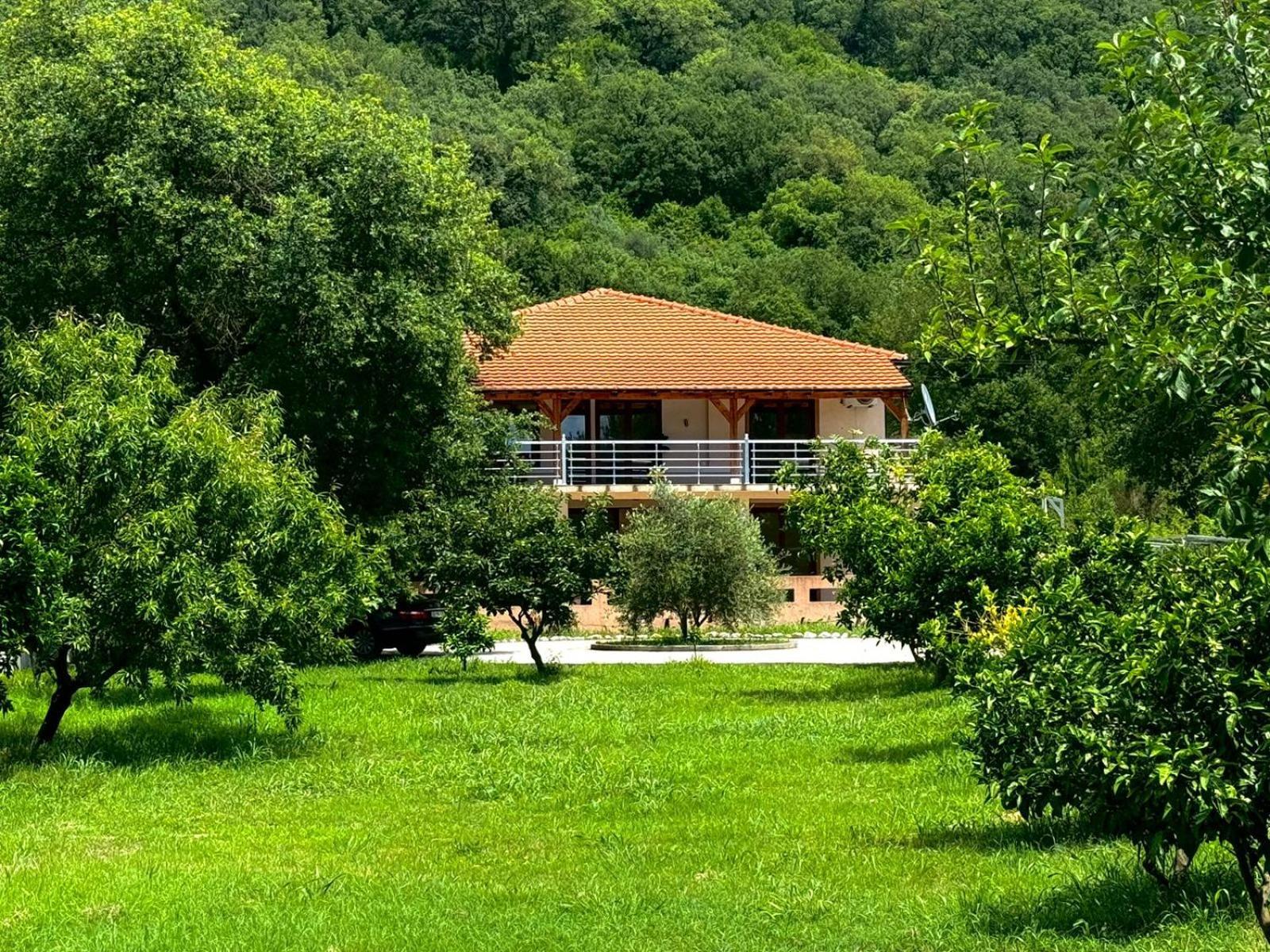 Stars Residence Petrovac Eksteriør billede